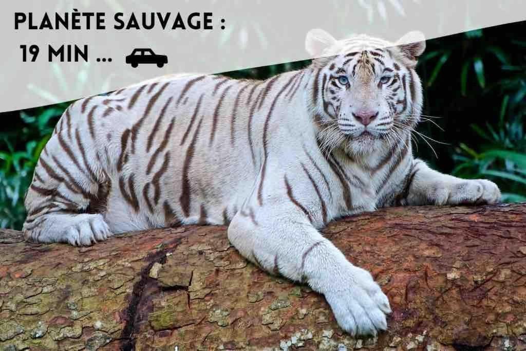 Le Dolce Bouguenais Exterior foto